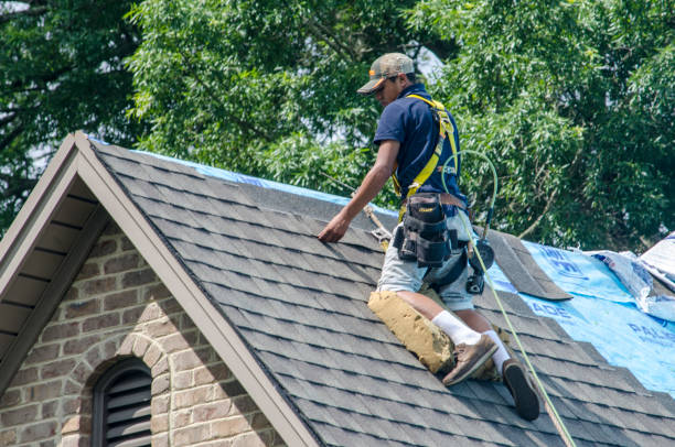 Best Affordable Roofing Company  in Paulding, OH